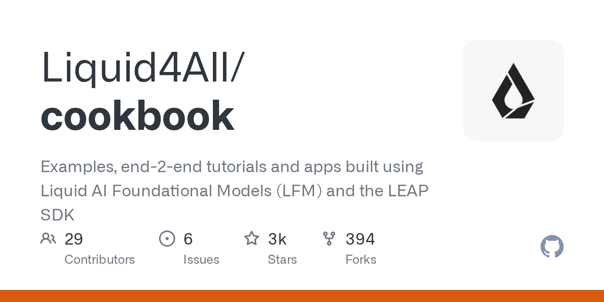 cookbook/examples/road-decider at main · Liquid4All/cookbook